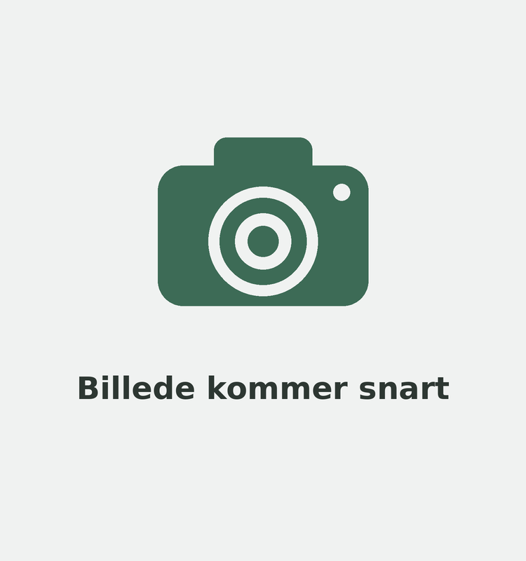 Billede kommer snart
